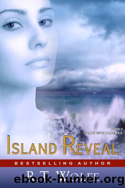 Island Reveal (The Island Escape Series, Book 3) by R.T. Wolfe