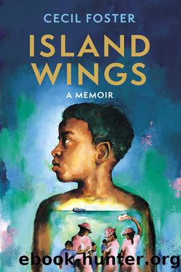 Island Wings by Unknown