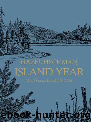 Island Year by Hazel Heckman