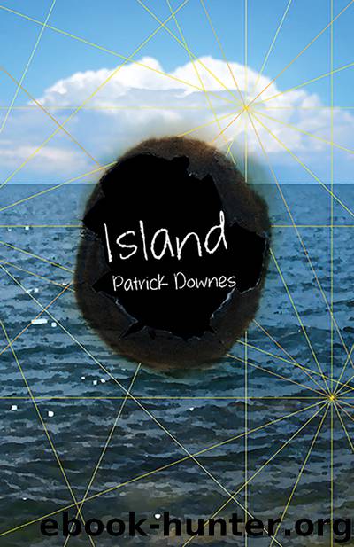 Island by Patrick Downes