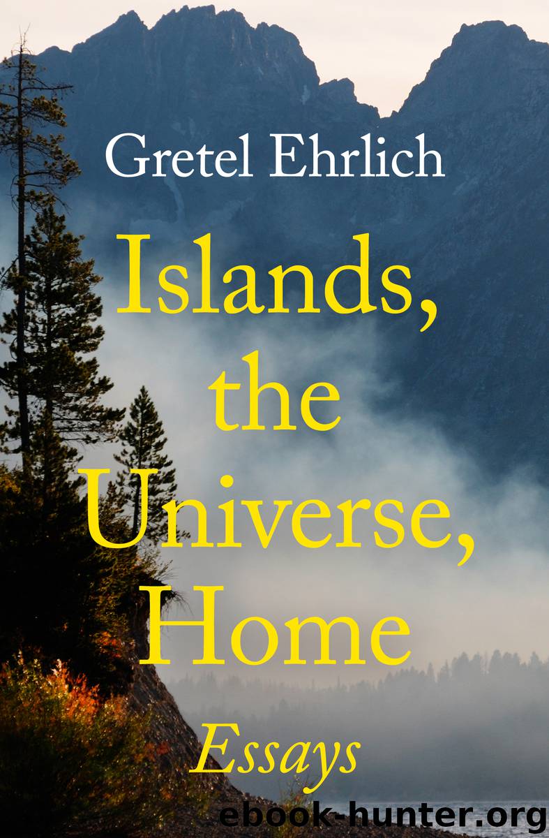 Islands, the Universe, Home by Ehrlich Gretel;