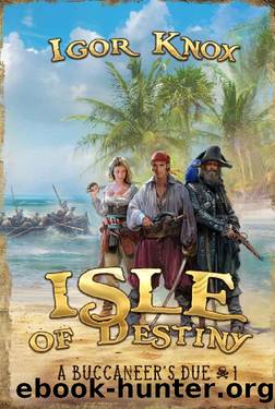 Isle of Destiny (A Buccaneer's Due Book #1 LitRPG Series) by Igor Knox