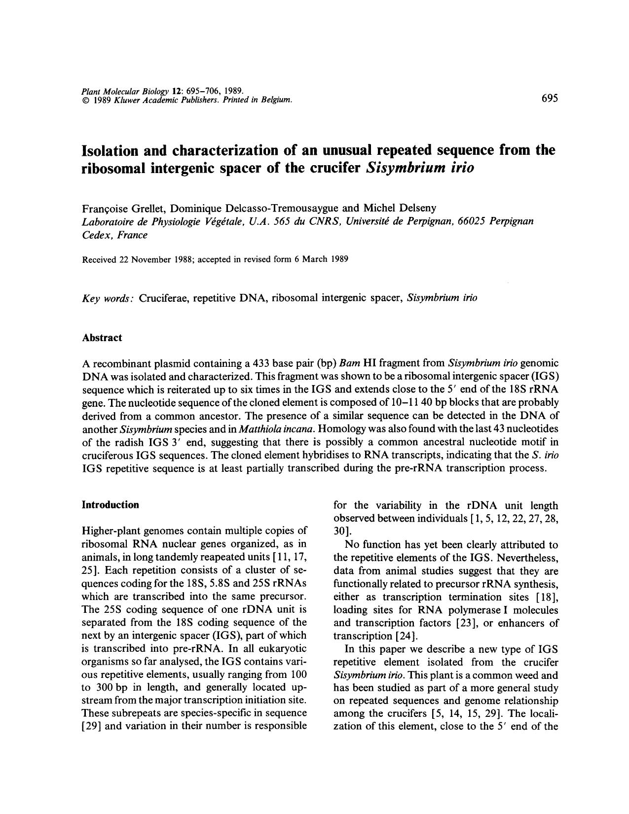 Isolation and characterization of an unusual repeated sequence from the ribosomal intergenic spacer of the crucifer <Emphasis Type="Italic">Sisymbrium irio<Emphasis> by Unknown