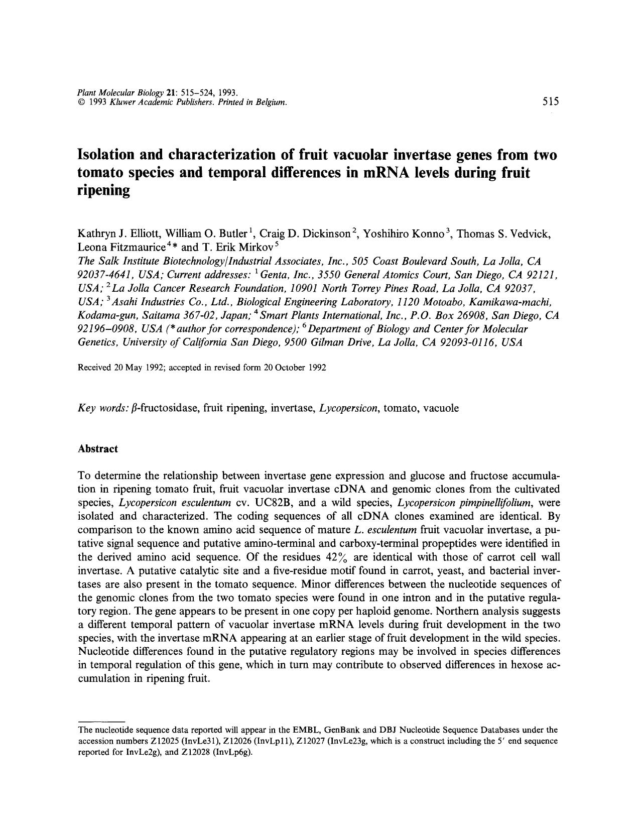 Isolation and characterization of fruit vacuolar invertase genes from two tomato species and temporal differences in mRNA levels during fruit ripening by Unknown