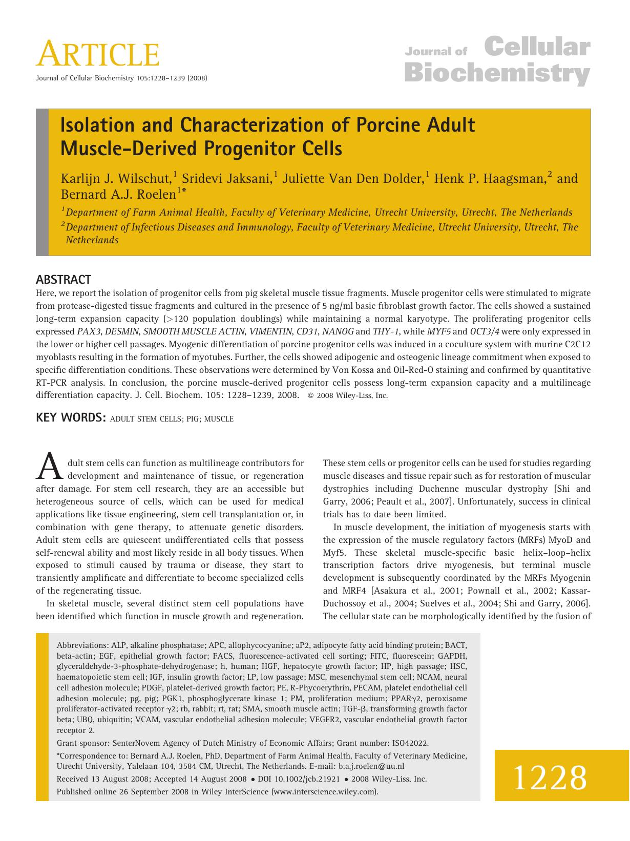 Isolation and characterization of porcine adult muscle-derived progenitor cells by Unknown