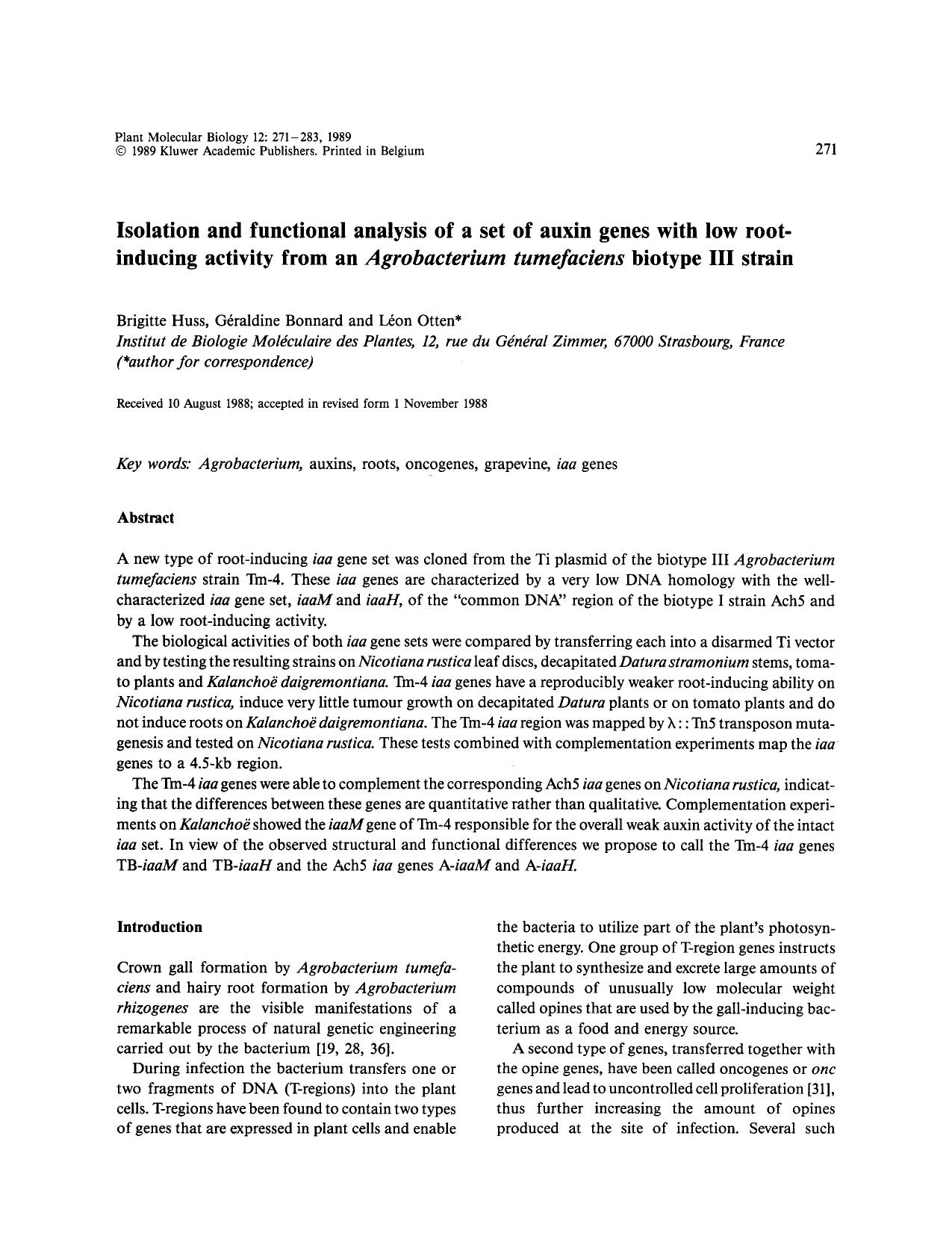 Isolation and functional analysis of a set of auxin genes with low root-inducing activity from an <Emphasis Type="Italic">Agrobacterium tumefaciens<Emphasis> biotype III strain by Unknown