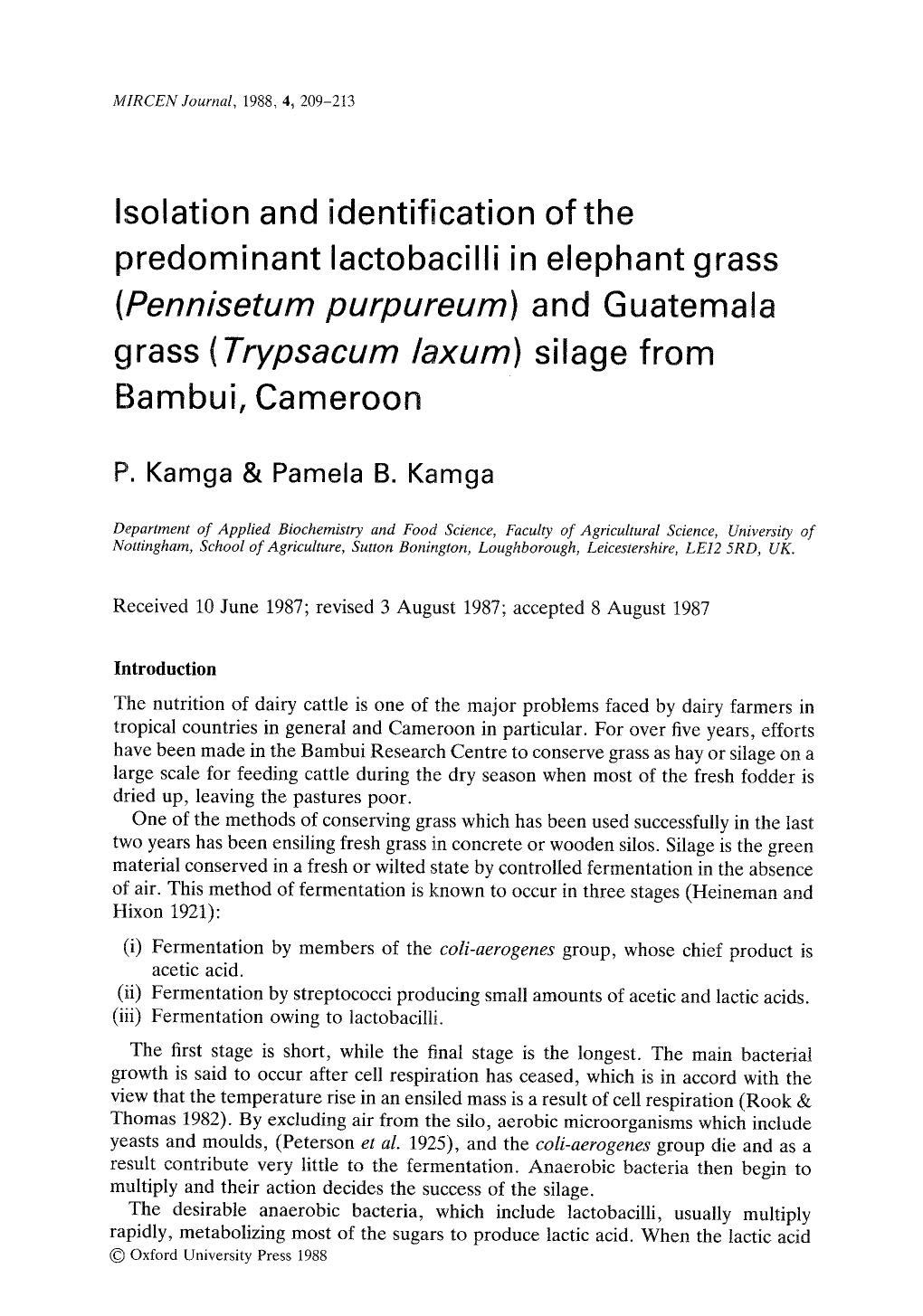 Isolation and identification of the predominant lactobacilli in elephant grass ( <Emphasis Type="Italic">Pennisetum purpureum <Emphasis>) and Guatemala grass ( <Emphasis Type="Ital by Unknown