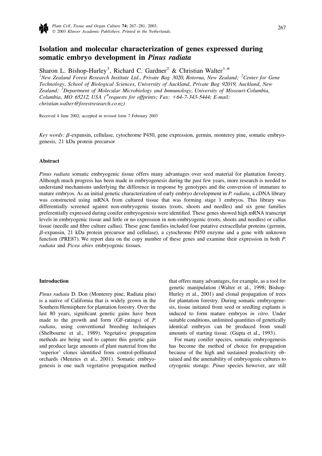Isolation and molecular characterization of genes expressed during somatic embryo development in <Emphasis Type="Italic">Pinus radiata<Emphasis> by Unknown