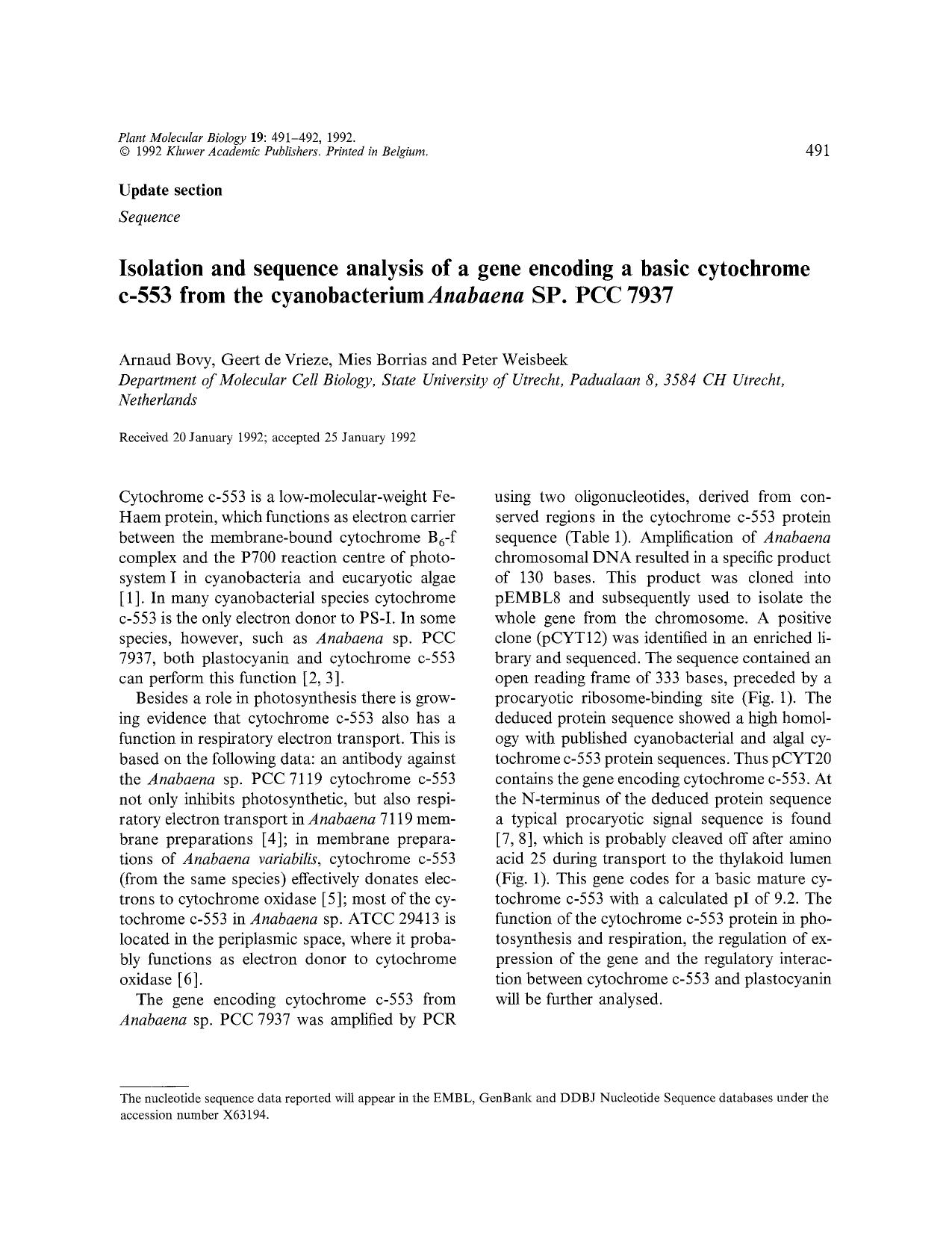 Isolation and sequence analysis of a gene encoding a basic cytochrome c-553 from the cyanobacterium <Emphasis Type="Italic">Anabaena<Emphasis> SP. PCC 7937 by Unknown