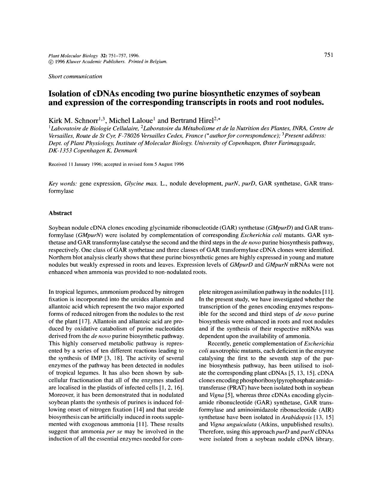 Isolation of cDNAs encoding two purine biosynthetic enzymes of soybean and expression of the corresponding transcripts in roots and root nodules by Unknown