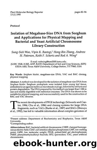 Isolation of megabase-size DNA from sorghum and applications for physical mapping and bacterial and yeast artificial chromosome library construction by Unknown