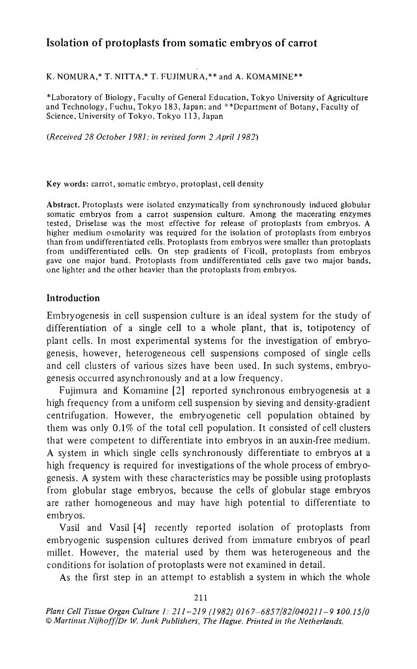 Isolation of protoplasts from somatic embryos of carrot by Unknown