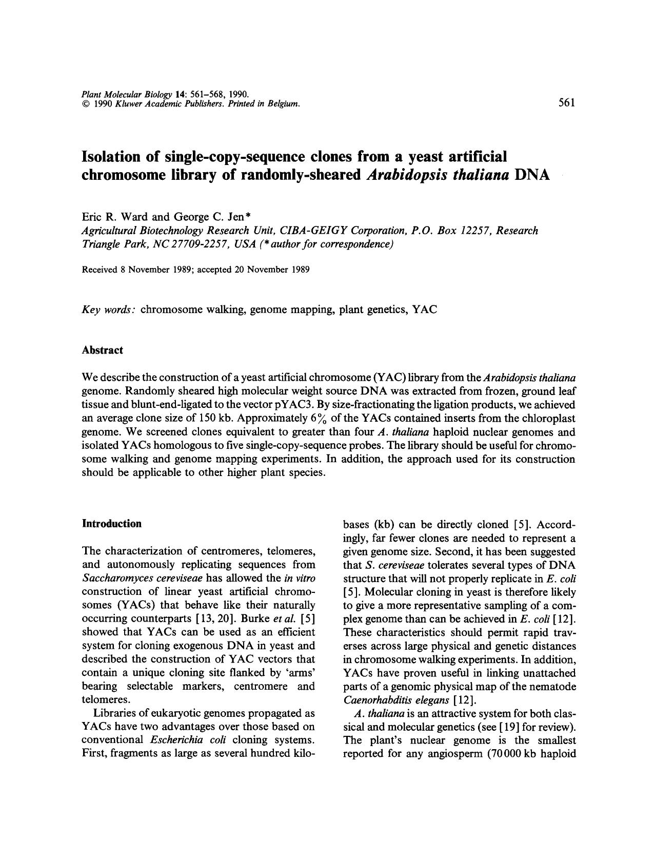 Isolation of single-copy-sequence clones from a yeast artificial chromosome library of randomly-sheared <Emphasis Type="Italic">Arabidopsis thaliana <Emphasis> DNA by Unknown