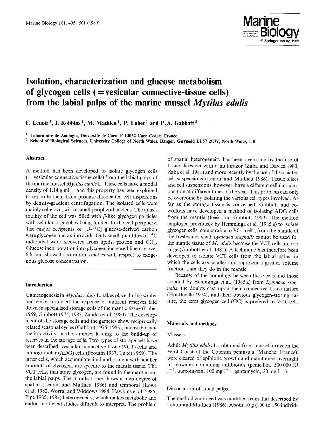 Isolation, characterization and glucose metabolism of glycogen cells (=vesicular connective-tissue cells) from the labial palps of the marine mussel <Emphasis Type="Italic">Mytilus edulis<Emphasis> by Unknown