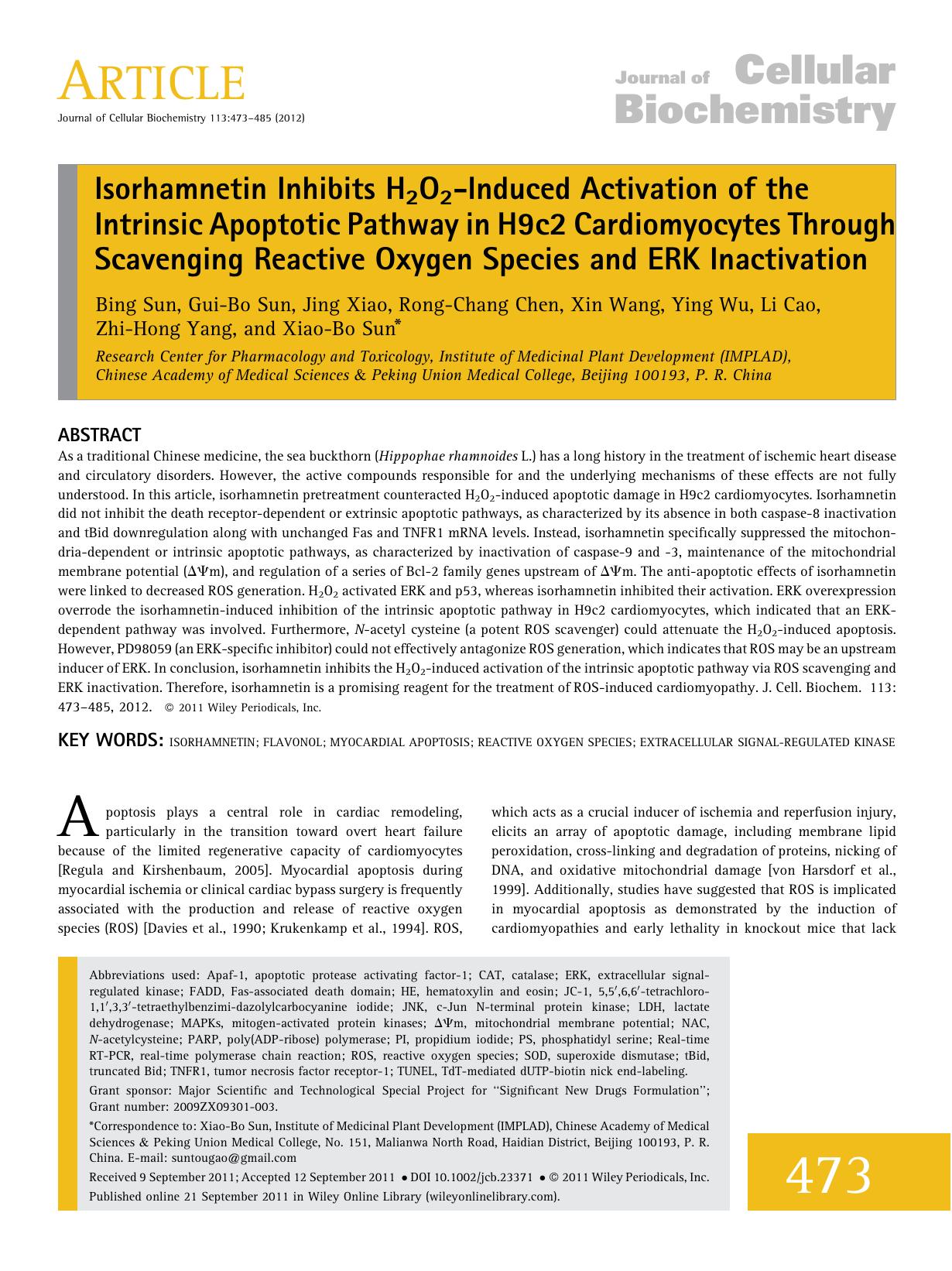 Isorhamnetin inhibits H2O2induced activation of the intrinsic apoptotic pathway in H9c2 cardiomyocytes through scavenging reactive oxygen species and ERK inactivation by Unknown