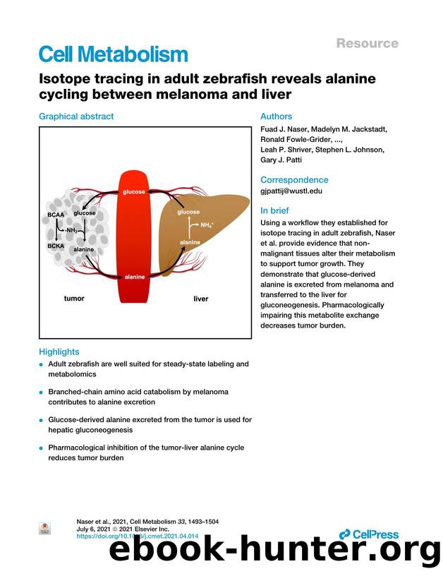 Isotope tracing in adult zebrafish reveals alanine cycling between melanoma and liver by unknow