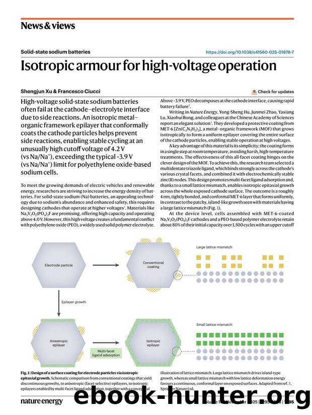 Isotropic armour for high-voltage operation by Shengjun Xu & Francesco Ciucci