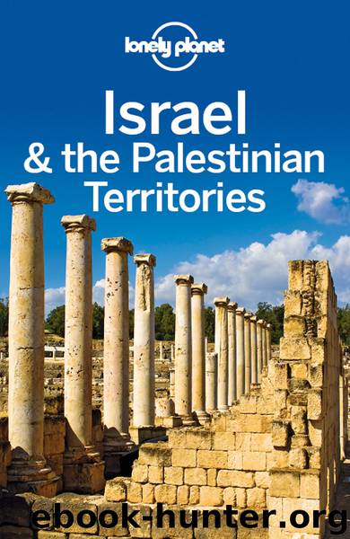 Israel & the Palestinian Territories Travel Guide by Lonely Planet