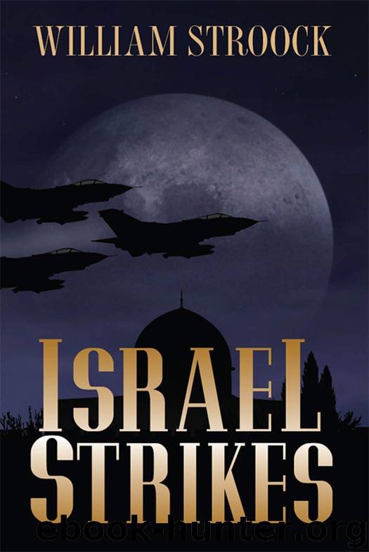 Israel Strikes by William Stroock