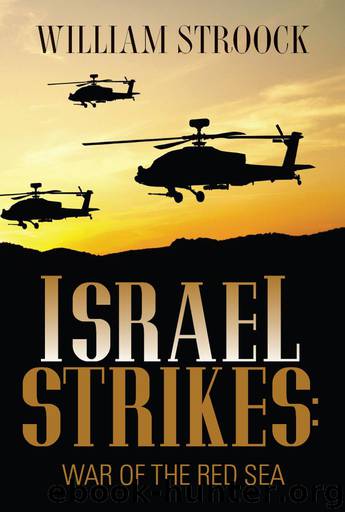 Israel Strikes: War of the Red Sea by William Stroock