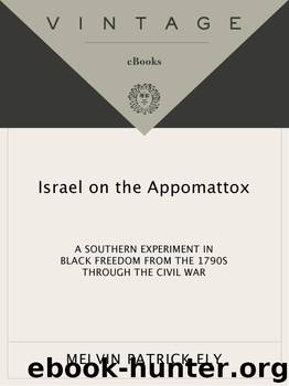 Israel on the Appomattox by Melvin Patrick Ely