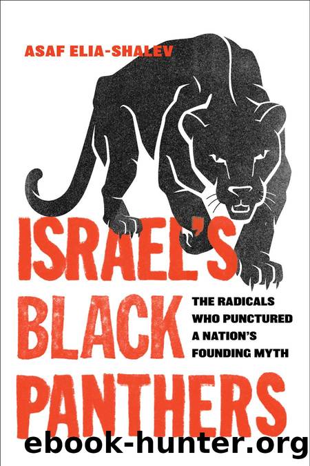 Israel's Black Panthers : the radicals who punctured a nation's founding myth by Asaf Elia-Shalev