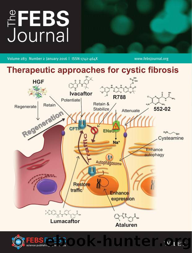 Issue Cover & Information by Unknown
