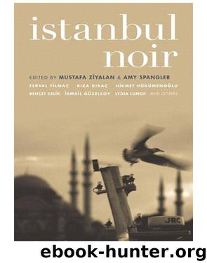 Istanbul Noir by Mustafa Ziyalan Amy Spangler