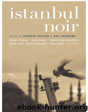 Istanbul Noir by Mustafa Ziyalan