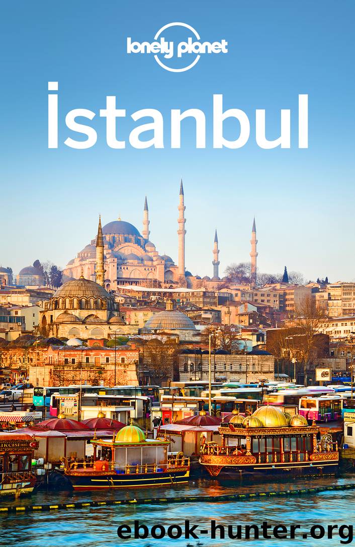 Istanbul Travel Guide by Lonely Planet
