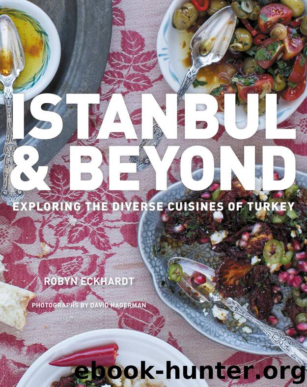 Istanbul and Beyond by Robyn Eckhardt