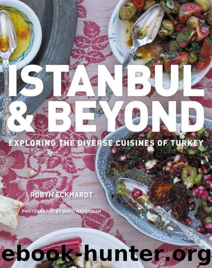 Istanbul and Beyond: Exploring the Diverse Cuisines of Turkey by Robyn Eckhardt