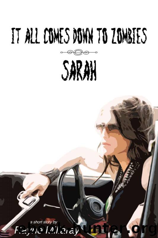 It All Comes Down To Zombies: Sarah by Millaray Rayne