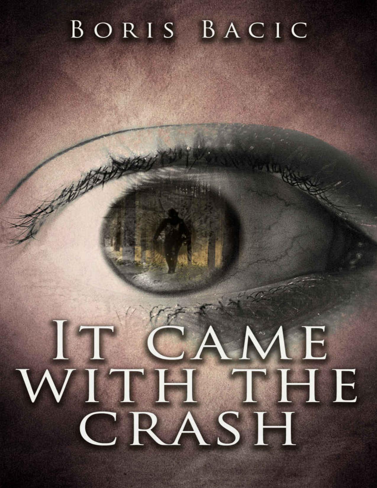 It Came With The Crash by Boris Bacic