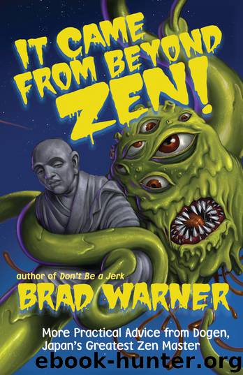 It Came from Beyond Zen! by Brad Warner
