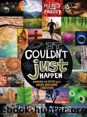 It Couldn't Just Happen by Lawrence O. Richards