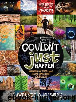 It Couldn't Just Happen: Knowing the Truth About God's Awesome Creation by Richards Lawrence O