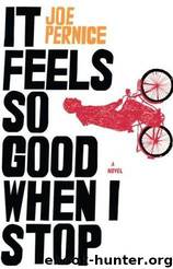 It Feels So Good When I Stop by Joe Pernice