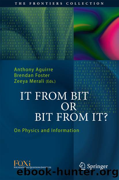 It From Bit or Bit From It? by Anthony Aguirre Brendan Foster & Zeeya Merali