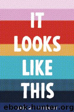 It Looks Like This by Rafi Mittlefehldt