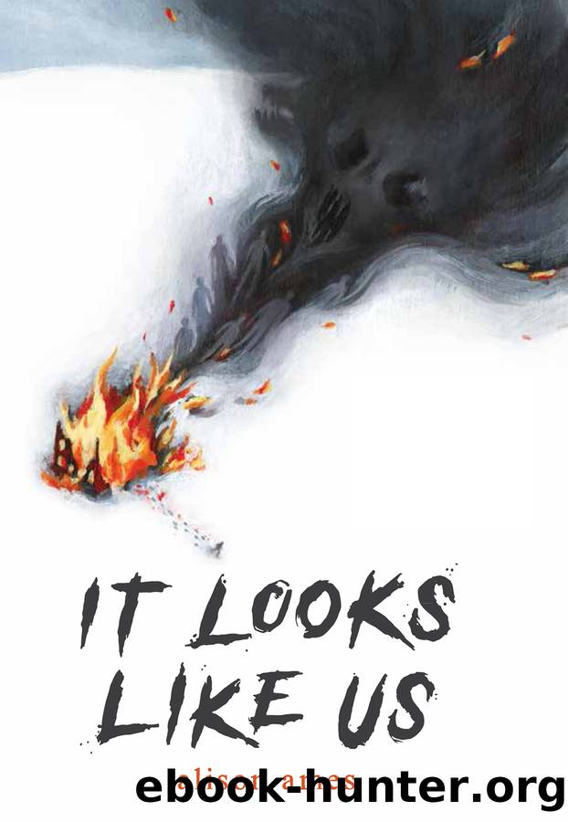 It Looks Like Us by Alison Ames