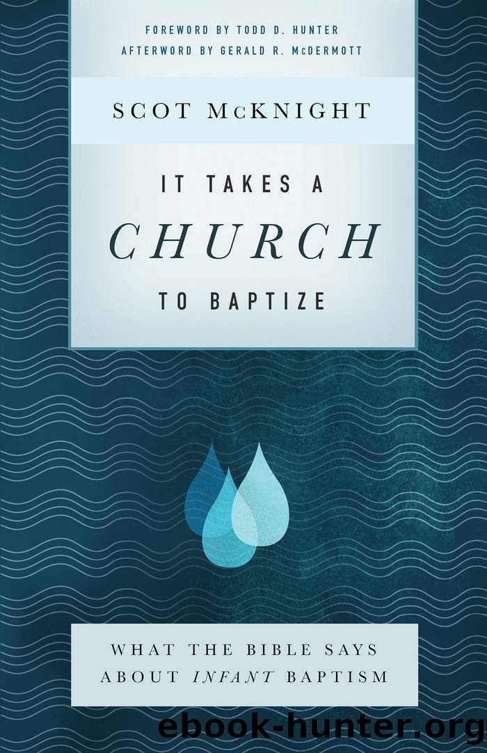 It Takes a Church to Baptize by Scot McKnight