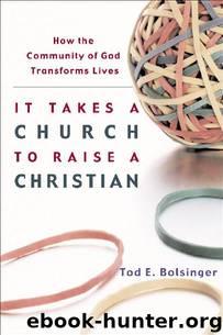 It Takes a Church to Raise a Christian: How the Community of God Transforms Lives by Tod E. Bolsinger