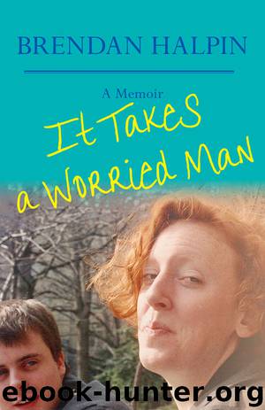 It Takes a Worried Man by Brendan Halpin