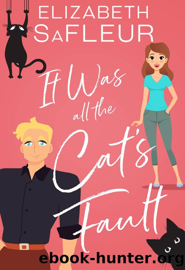 It Was All The Catâs Fault: A Romantic Comedy by Elizabeth SaFleur