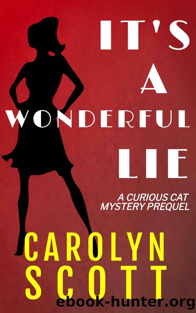 It's A Wonderful Lie by Carolyn Scott