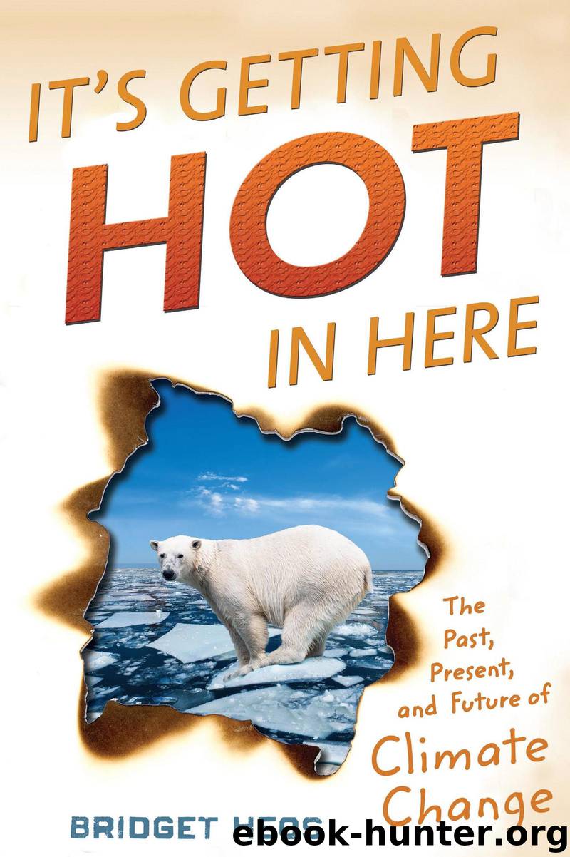 It's Getting Hot in Here by Bridget Heos