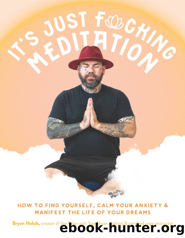 It's Just Fucking Meditation by Bryan Holub