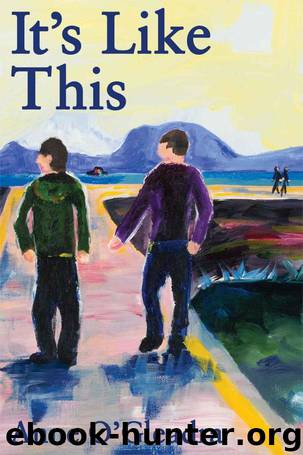 It's Like This by Anne O'Gleadra