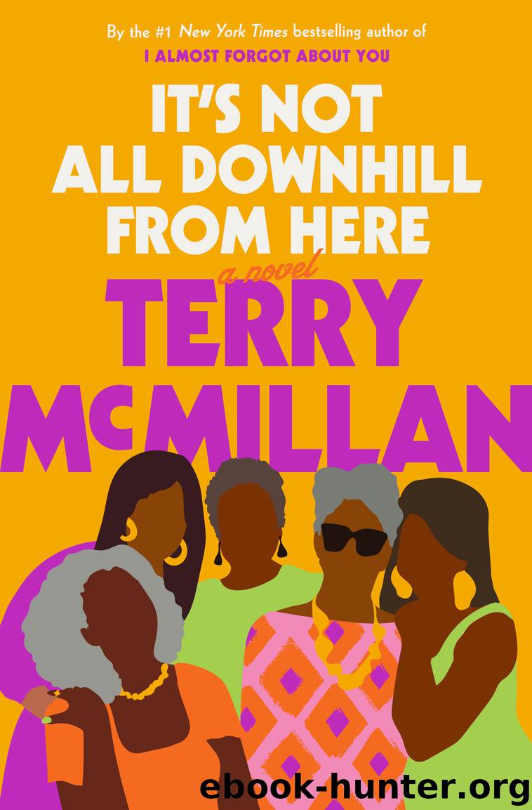 It's Not All Downhill From Here by Terry McMillan